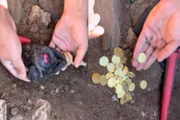 பொற்காசுகளை பாதுகாத்து வந்த பாம்பு..! பகீர் கிளப்பும் வைரல் காணொளி