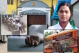 வித்தியா கொலைக் குற்றவாளியின் உடலம் அரச செலவில் அடக்கம்