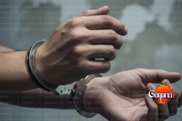 ජනප්‍රිය රංගන ශිල්පියෙක් අත්අඩංගුවට - හේතුව මෙන්න