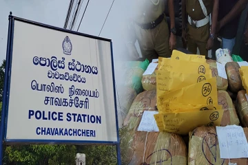 யாழில் 87 கிலோ கேரள கஞ்சா பறிமுதல்