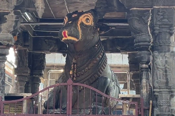 அண்ணாமலையார் கோவில் நந்தியின் சாய்வுக்கு என்ன காரணம்? ஆச்சர்ய தகவல் | Reason For Tilt Of Nandhi In Tiruvannamalai Tamil அண்ணாமலையார் கோவில் நந்தியின் சாய்வுக்கு என்ன காரணம்? ஆச்சர்ய தகவல் | Reason For Tilt Of Nandhi In Tiruvannamalai Tamil