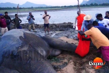 කණ්ඩලමේ හැඩකාරයාත් සදහටම සමු ගෙන