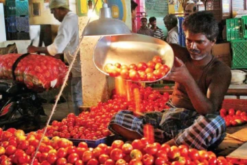 நேற்று ரூ.80'க்கு விற்பனை - இன்று கோயம்பேட்டில் பாதியாக குறைந்து தக்காளியின் விலை !