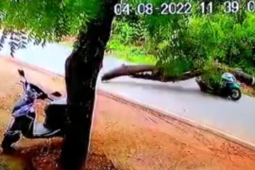 சாலையில் சென்ற வாகன ஓட்டியின் மீது முறிந்து விழுந்த மரம் - பதைபதைக்கும் CCTV காட்சி