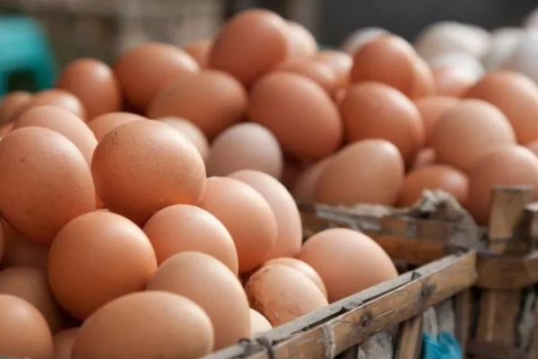 இலங்கையில் முட்டை ஒன்று 40 ரூபாய்க்கு விற்பனை | An Egg Is Sold For 40 Rupees In Sri Lanka இலங்கையில் முட்டை ஒன்று 40 ரூபாய்க்கு விற்பனை | An Egg Is Sold For 40 Rupees In Sri Lanka