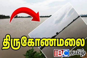 திருகோணமலையில் கனமழையால் நீரில் மூழ்கிய வயல் நிலங்கள்