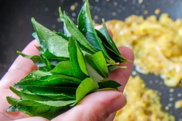 சர்க்கரை நோயாளி தினமும் ஒரு கப் கறிவேப்பிலை டீ குடிப்பதால் என்னென்ன மாற்றங்கள் நிகழும்...5 நெடியில் டீ ரெடி!