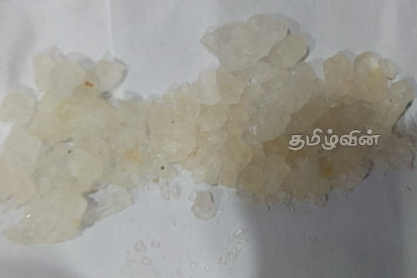 போதைப்பொருளுடன் இருவர் பொலிஸாரால் கைது | Police Arrested Two People With Drugs