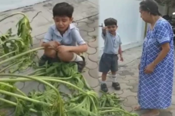 மரத்தை வெட்டித்தள்ளிய அம்மா! உங்களுக்கு நிச்சயம் சாபம் கிடைக்கும் என்று கதறிய மகன்: நெகிழ்ச்சிக் காட்சி