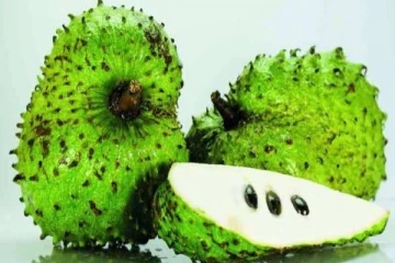 முள் சீத்தாப்பழம் அடிக்கடி சாப்பிடுபவரா... உடலில் நடக்கும் அதிசயம்!