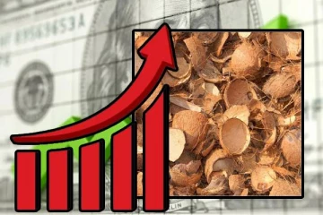 வெளிநாடுகளில் தேங்காய் சிரட்டைக்கு அதிக கிராக்கி: கிடைக்கும் மில்லியன் டொலர் வருமானம்