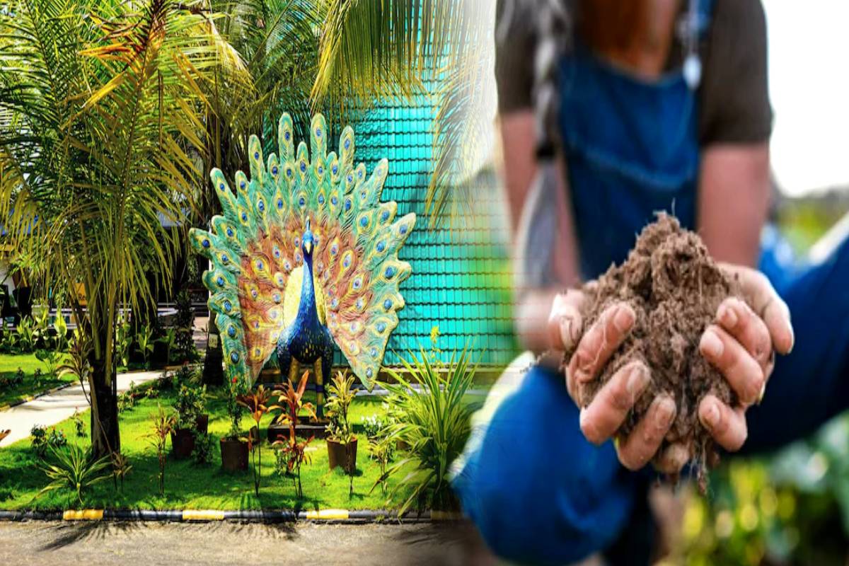 வேலை தேடுவோருக்கு அரிய வாய்ப்பு! இயக்கச்சி றீச்ஷாவில் உடனடி நியமனம் - இன்றே விரையுங்கள்.. | Vacancy At Richa Farm In Sri Lanka