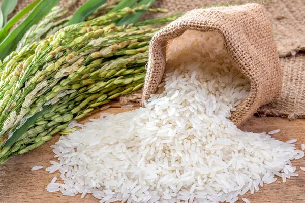 அரிசி இறக்குமதியை நிறுத்த திட்டம் | Plan To Stop Rice Importation