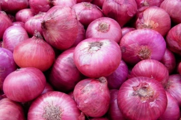 இறக்குமதிக்கு தடை; எகிறும் வெங்காய விலை