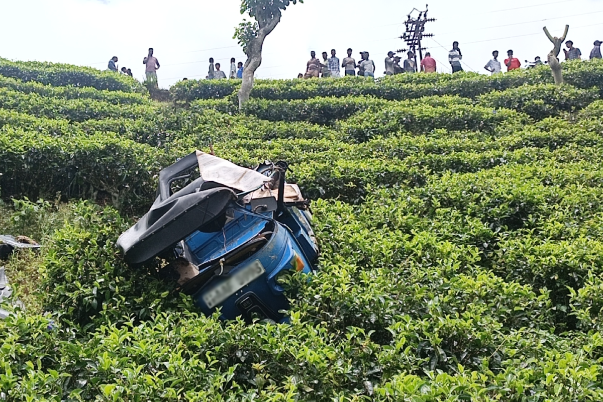 50 அடி பள்ளத்தில் கவிழ்ந்த முச்சக்கர வண்டி ; அதீத வேகத்தால் வந்த வினை | Three Wheeler Plunges Into 50 Foot Ditch
