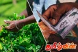 பெருந்தோட்டத் தொழிலாளர்களுக்கு சம்பளமாக 2,500 ரூபா அவசியம் - ஐக்கிய சோஷலிசக் கட்சி வலியுறுத்து