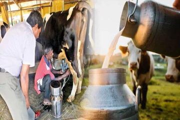 இலங்கை பால்பண்ணை விவசாயிகளுக்கு நற்செய்தி : இந்தியாவில் வழங்கப்படவுள்ள பயிற்சி