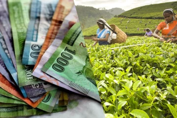 1700 ரூபா சம்பளம் வழங்க இணக்கம் தெரிவித்துள்ள நிறுவனங்கள்: மகிந்தானந்த அறிவிப்பு