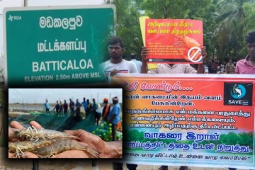 வாகரையில் இறால் வளர்ப்பு திட்டம் : நேர்முகத் தேர்விற்கு எதிர்ப்பு!