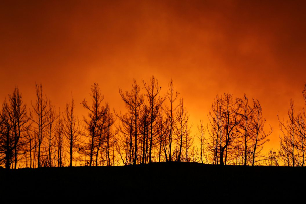 துருக்கியை உலுக்கும் காட்டுத்தீ! "பேரிடர் பகுதிகள்" பிரகடனம் | Wildfire Shaking Turkey Declaration Disaster Areas