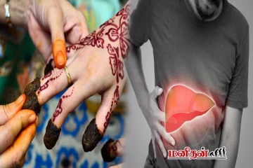 கையில் மருதாணி தடவினால் கல்லீரல் புண்கள் குணமாகுமா? ஆய்வாளர் கண்டுபிடிப்பு