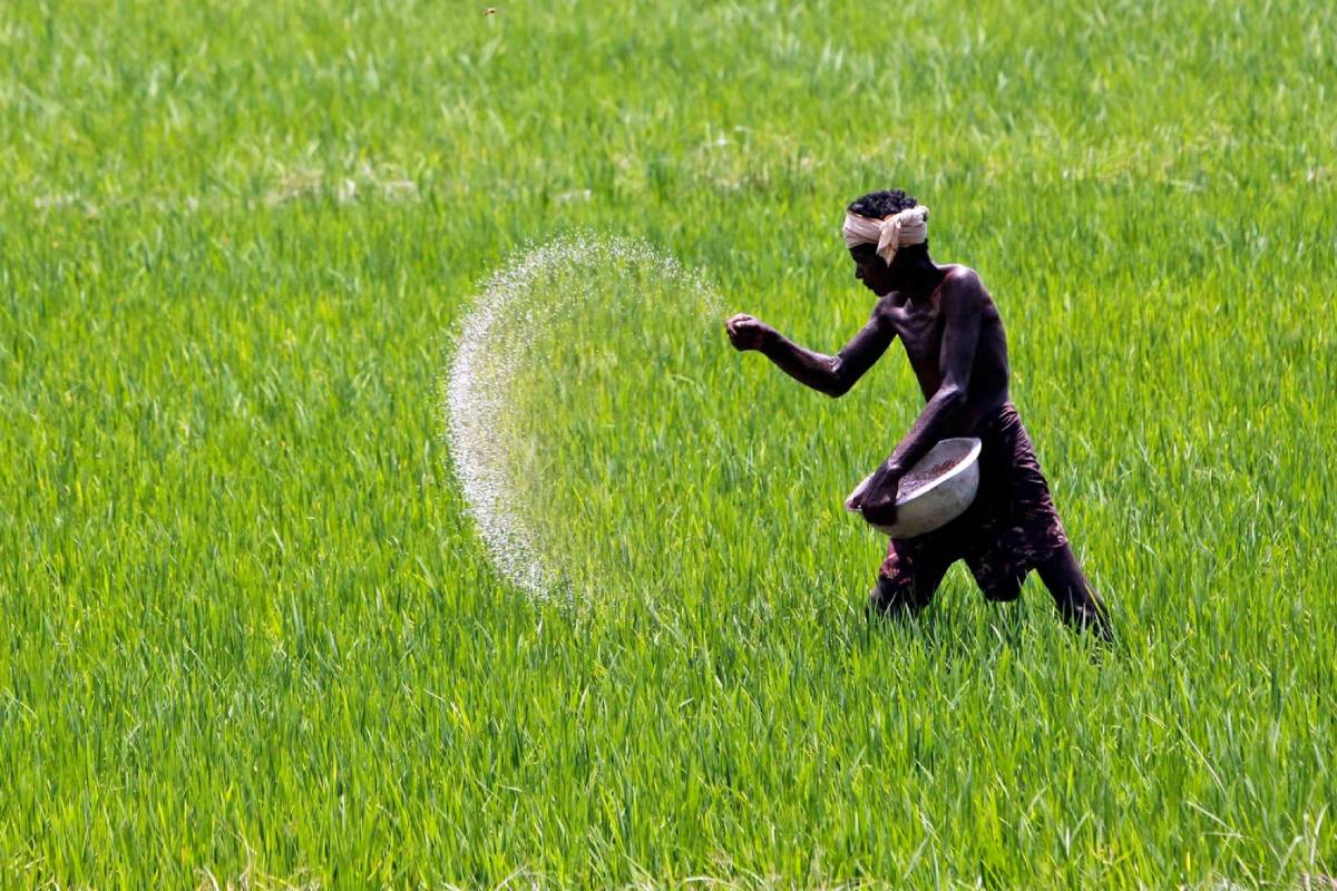 போரால் ஏற்பட்ட பாரிய சிக்கல் - சீனாவின் உதவியை நாடும் இந்தியா | India Seeks Urea From China To Manage Shortage