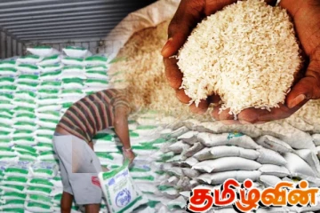 அரிசிக்கான நியாயமான விலை: இறக்குமதியாளர்கள் சங்கம் விசேட கோரிக்கை