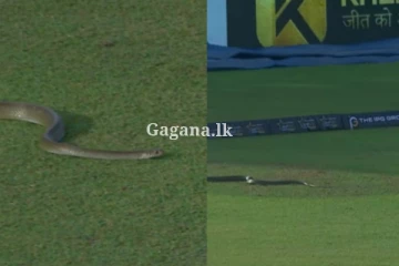 LPL අතරතුර අමුත්තෙක් පිටියට එයි.(VIDEO)