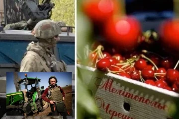 இனிப்பான செர்ரி பழங்களில்... ரஷ்ய வீரர்களுக்கு விஷம் வைத்த உக்ரைனிய விவசாயிகள்