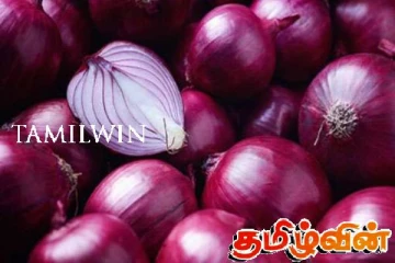 வெங்காயத்தின் விலையில் சடுதியாக ஏற்பட்டுள்ள மாற்றம்!