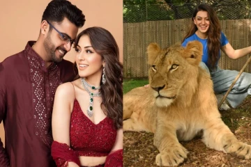 விவாகரத்துக்கு பின்னும் மாஸ் காட்டும் ஹன்சிகா ... சிங்கத்திடம் செய்த சேட்டையை பாருங்க