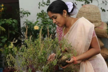 தாத்தா, பாட்டி துளசியை வீட்டில் வைத்து வணங்கியது இதனால் தானா? அசரவைக்கும் நன்மைகள்