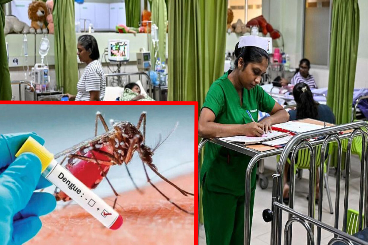 90 ஆயிரத்தைத் தாண்டிய டெங்கு நோயாளர் எண்ணிக்கை | Srilanka Number Of Dengue Patients Exceeds 90 000