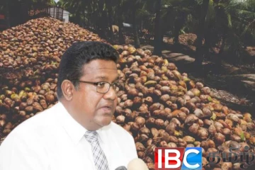 உச்சத்தை தொட்ட தேங்காய் விலை : வெளியானது காரணம்