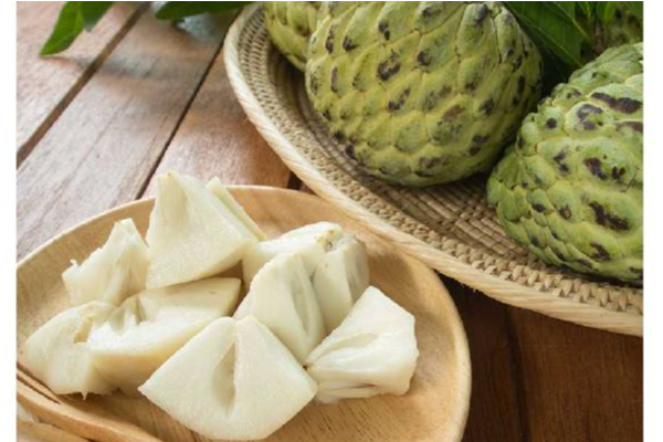 புகைப்பழக்கம் உள்ளவர்களுக்கும் மது அருந்துபவர்களுக்கும் நிவாரணியாக இருக்கும் அற்புத பழம் | Amazing Fruit Relief For Smokers And Alcoholics