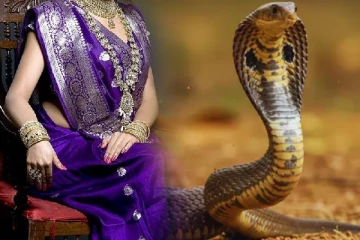 இரவில் பாம்பாக மாறும் மனைவி; அழுது புலம்பி கணவன் முறைப்பாடு!