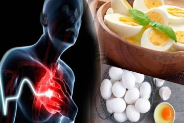 முட்டை சாப்பிட்டால் மாரடைப்பு ஏற்படுமா? ஆய்வு தகவல்