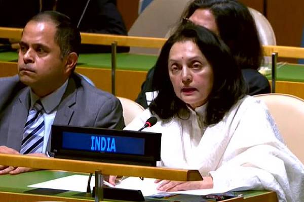 இது மடத்தனமான பேச்சு : காஷ்மீர் விவகாரம் குறித்த பாகிஸ்தான் பேச்சுக்கு இந்தியா பதிலடி | Pakistan For Raising Kashmir Issue