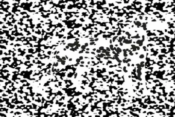 optical illuion:இந்த படத்தில் மறைந்திருக்கும் நாயை கண்டுபிடிக்க முடியுமா?