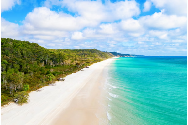 அவுஸ்திரேலியாவில் சுயநினைவின்றிக் கிடந்த கனேடிய இளம்பெண்: பொலிசார் தெரிவித்துள்ள செய்தி | Canadian Found Body Found In Australia Sea