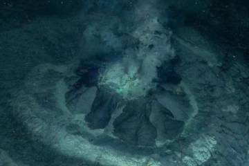 கடல்வாழ் உயிரினங்களின் சரணாலயம்! ஆர்டிக் கடலில் மறைந்திருந்த மண் எரிமலை கண்டுபிடிப்பு