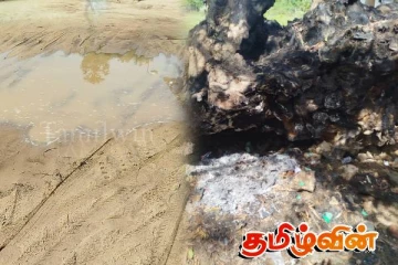 பச்சிலைப்பள்ளி பிரதேச சபையின் அசமந்த போக்கால் வீதிக்கு வந்த வியாபாரிகள்!