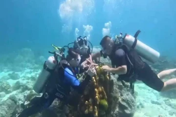 தாய்லாந்தில் சுற்றுலாப் பயணிகள் இருவருக்கு ஆப்பு வைத்த பொலிஸார்!