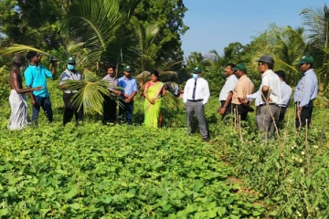 முல்லைத்தீவு - ஐயன்கன்குளம் விவசாயப் போதனாசிரியர் பிரிவில் சிறப்புற இடம்பெற்ற வயல்விழா - விவசாயிகளுக்கு பாராட்டு