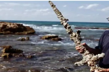 கடலுக்கடியிலிருக்குது கண்டுபிடிக்கப்பட்ட 900 ஆண்டுகள் பழமையான போர் வாழ்