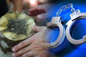 மாத்தறையில் சட்டவிரோத வல்லப்பட்டைகளுடன் மூவர் கைது