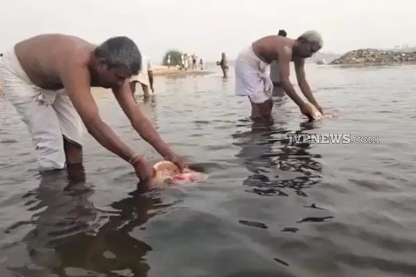 பித்ருக்களின் ஆசி கிடைக்கும் ஆடி அமாவாசை; இதையெல்லாம் மறவாது செய்யுங்கள்! | Aadi Amavasi Blessed By Pitrus How To Fast