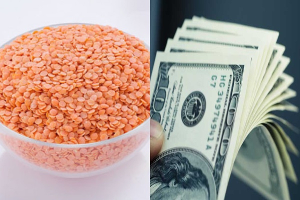 பருப்பு வாங்க அவுஸ்திரேலியாவிடமிருந்து 200 மில்லியன் டொலர் கடனைப் பெறும் சிறிலங்கா - ஐபிசி தமிழ்