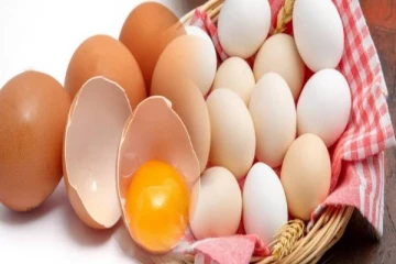 முட்டை விலை அதிகரிப்பு