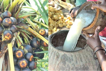 මෙරට ප්‍රදාන ආයතනයක එළියට ආ විගණන වාර්ථාව..